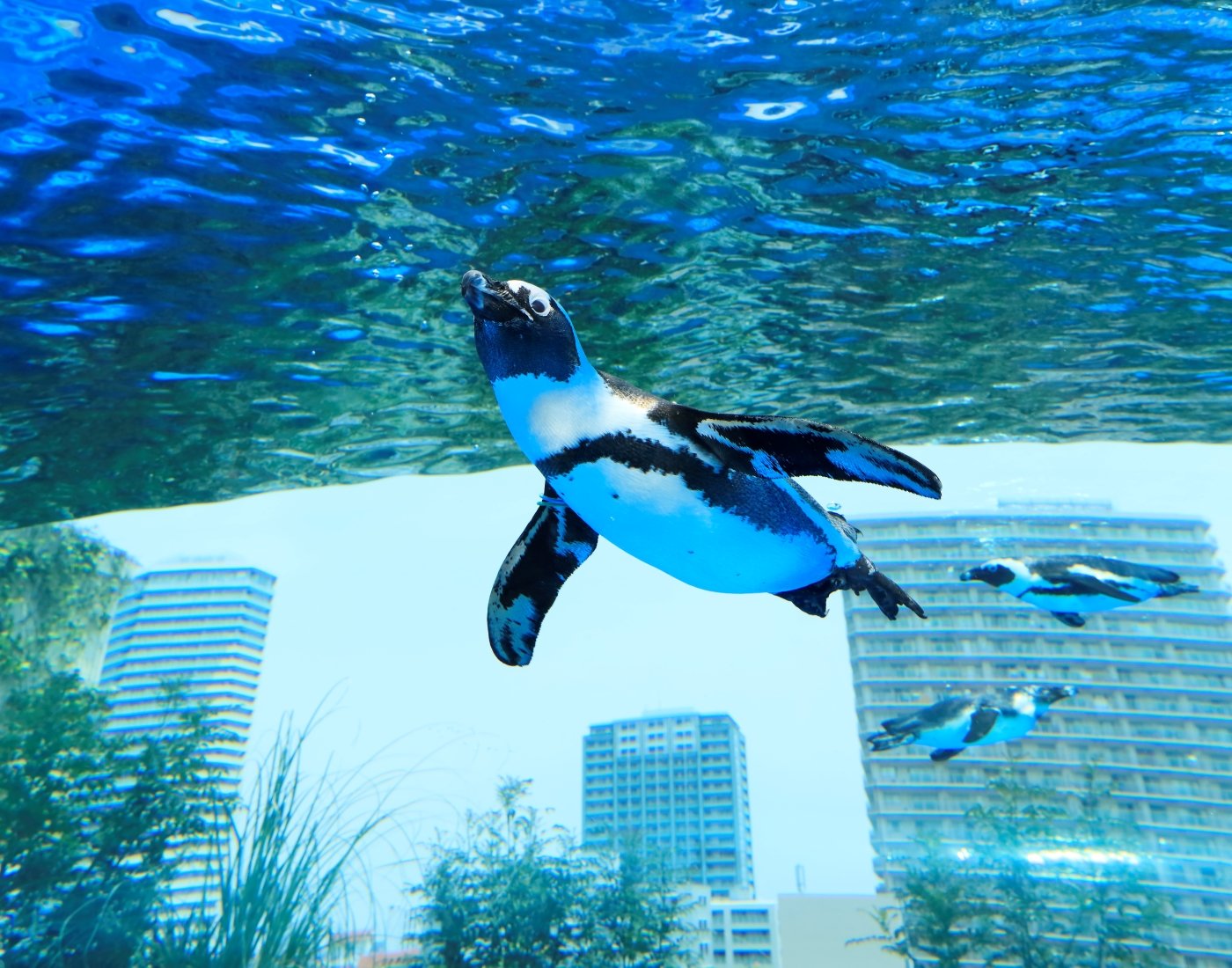 🐠 선샤인 수족관 이미지 7